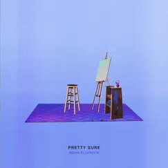 Pretty Sure - Single by Noah Floersch album reviews, ratings, credits