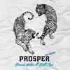 Prosper Remix (feat. Matt Cleev) [Remix] - Single album lyrics, reviews, download