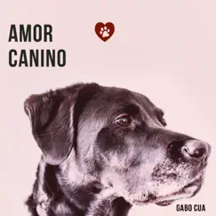 Amor Canino - Single by Gabo CUA album reviews, ratings, credits