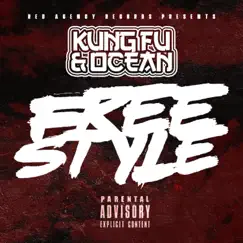 Freestyle Song Lyrics