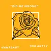 Did Me Wrong (feat. Siir Artty) - Single album lyrics, reviews, download