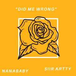 Did Me Wrong (feat. Siir Artty) Song Lyrics