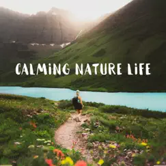 Calming Nature Life: Songs of Forest, Relaxing Time Out in Nature, Ocean Bliss, Peaceful Water by Natural Healing Music Zone album reviews, ratings, credits