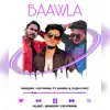 Baawla (feat. Karan & Dushyant) - Single album lyrics, reviews, download
