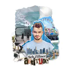 Attitude - Single by Seb Zillner album reviews, ratings, credits