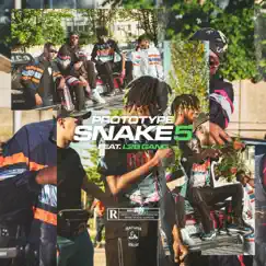 Snake #5 (feat. L2B Gang) - Single by Prototype album reviews, ratings, credits