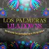 Búscate un Hombre Que Te Quiera (feat. Lila Downs) - Single album lyrics, reviews, download