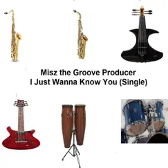 I Just Wanna Know You - Single by Misz the Groove Producer album reviews, ratings, credits