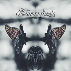 Metamorphosis - Single by Brandon Musser album reviews, ratings, credits