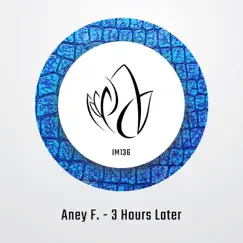 3 Hours Later - Single by Aney F. album reviews, ratings, credits