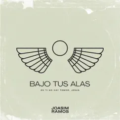 Bajo Tus Alas (feat. Isaac Valdez) Song Lyrics