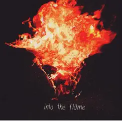 Into the Flame - Single by Tay Iwar album reviews, ratings, credits