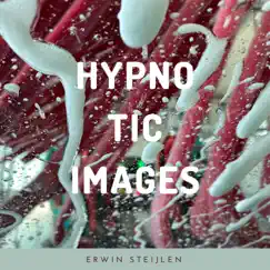 Hypnotic Images - Single by Erwin Steijlen album reviews, ratings, credits