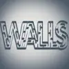 Walls - Single album lyrics, reviews, download