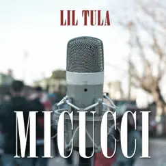 Micucci (Bardoaudivisual) [feat. PedroSanto] - Single by Lil Tula album reviews, ratings, credits