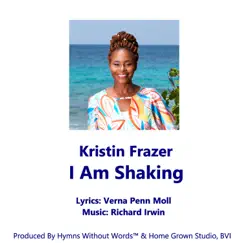 I Am Shaking (feat. Kristin Frazer) - Single by Richard M.S. Irwin album reviews, ratings, credits