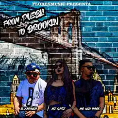 From Puebla to Brooklyn - Single by Lil Caponey, Mz Gatiz & Mr New York album reviews, ratings, credits