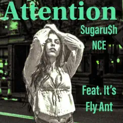 Attention (feat. Itz Fly Ant) - Single by Sugarush NCE album reviews, ratings, credits