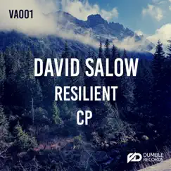 V.A. Shiring, 2019 - Single by David Salow, cp9 & resilient album reviews, ratings, credits