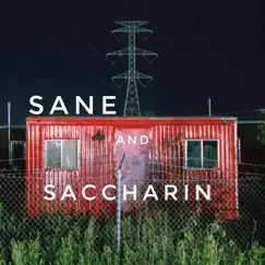 Sane and Saccharin Song Lyrics