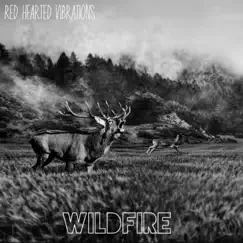 Wildfire (Acoustic Version) - Single by Red Hearted Vibrations album reviews, ratings, credits