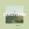 Schumann: Famous Works for Piano, Vol.1 album lyrics, reviews, download