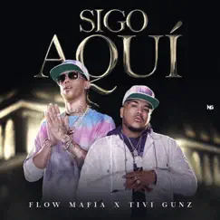 Sigo Aquí (feat. Tivi Gunz) - Single by Flow Mafia album reviews, ratings, credits