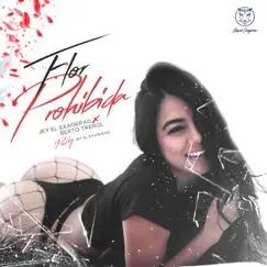 Flor Prohibida (feat. Berto Trebol) - Single by Jey El Exagerao album reviews, ratings, credits