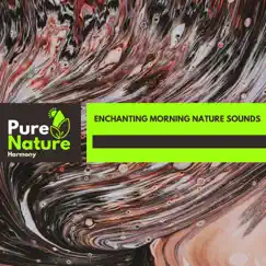 Enchanting Morning Nature Sounds by Sounds of Nature Noise & Nature Sound Series album reviews, ratings, credits