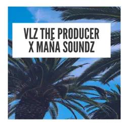 Miami Dembow - Single by VLZ The Producer album reviews, ratings, credits