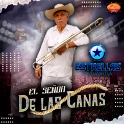 El Señor de las Canas (En Vivo) Song Lyrics