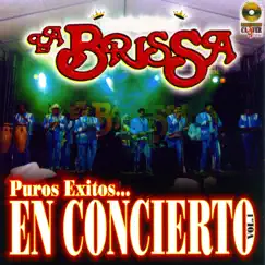 Puros Éxitos en Concierto, Vol. 1 by La Brissa album reviews, ratings, credits