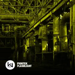 Flashlight - Single by Piontek album reviews, ratings, credits