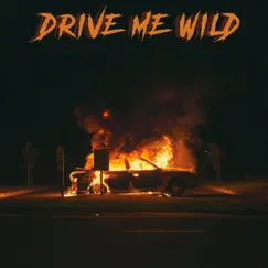 Drive Me Wild - Single by 3 One Oh album reviews, ratings, credits