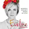 Morgen Schijnt Weer De Zon - Single album lyrics, reviews, download