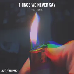 Things We Never Say (feat. Parisa) Song Lyrics