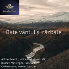 Bate Vantul si Razbate (feat. Adrian Nadine) - Single by Johann Strauss Ensemble album reviews, ratings, credits