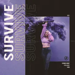 Survive - Single by Spinner Sunny, Verb & Stella Key album reviews, ratings, credits