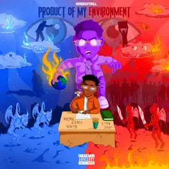 Product of My Enviornment by Hvndo2trill album reviews, ratings, credits