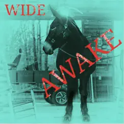 Wide Awake - EP by The Gospel Mule album reviews, ratings, credits