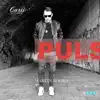 Puls - Single album lyrics, reviews, download