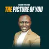 The Picture of You - Single album lyrics, reviews, download