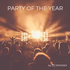 Party of the Year Song Lyrics