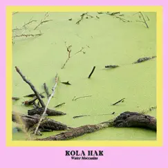 Water Moccasins by Kola Hak album reviews, ratings, credits