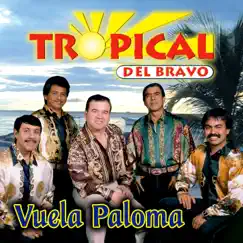 Vuela Paloma by Tropical del Bravo album reviews, ratings, credits