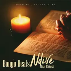 Ndive (feat. Bukeka) - Single by Bongo Beats album reviews, ratings, credits