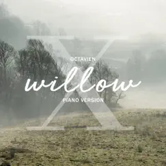 Willow (Piano Version) Song Lyrics