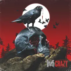 Crazy by Clever album reviews, ratings, credits