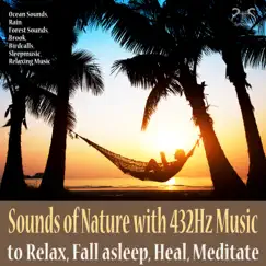 Forest Sounds and Relaxing Music in 432Hz to Relax Song Lyrics
