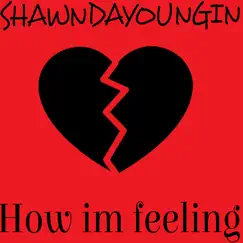 How Im Feeling - Single by SHAWNDAYOUNGIN album reviews, ratings, credits